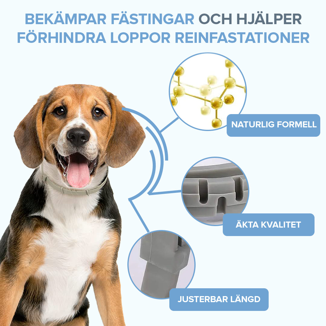 Halsband Mot Löss och Fästingar