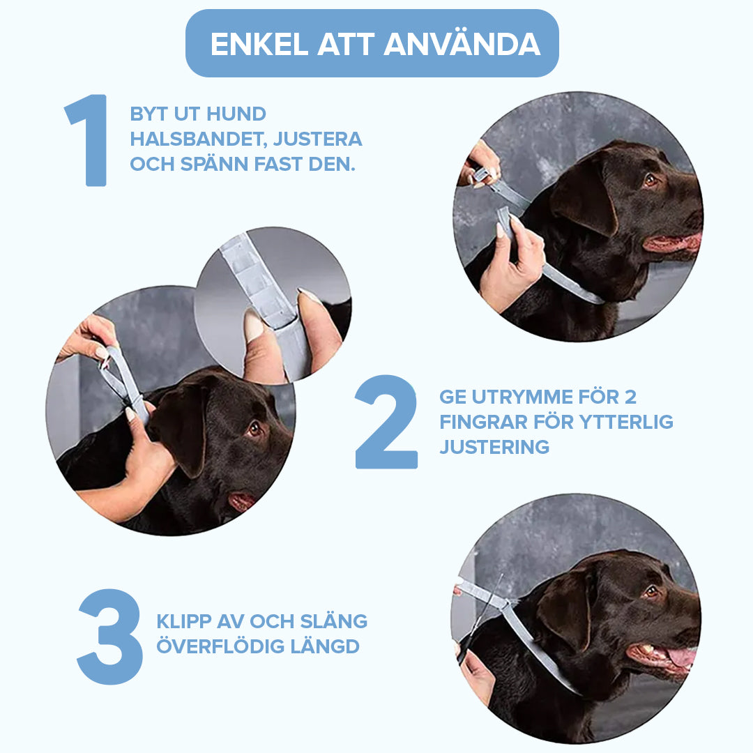 Halsband Mot Löss och Fästingar