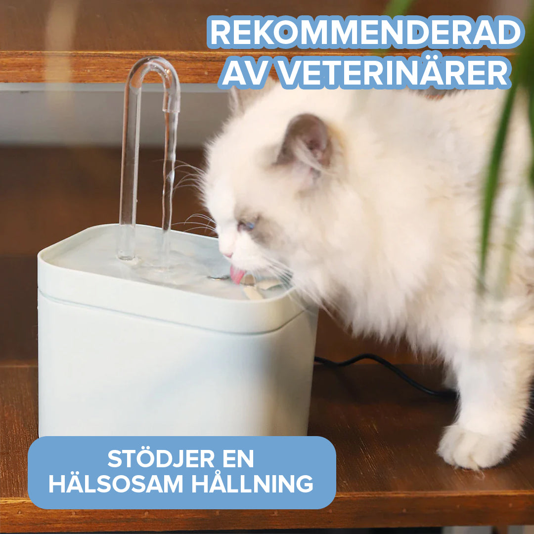 Vattenautomat för Katter med Vattenfilter