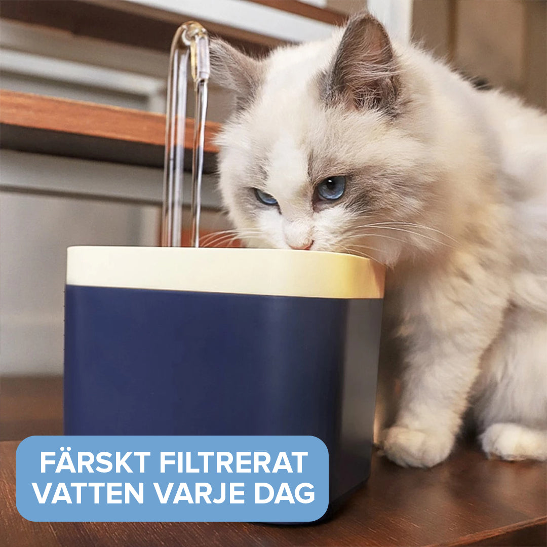 Vattenautomat för Katter med Vattenfilter