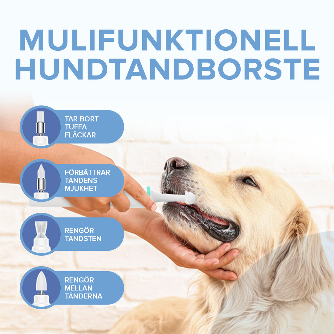 Tandborste för Hund