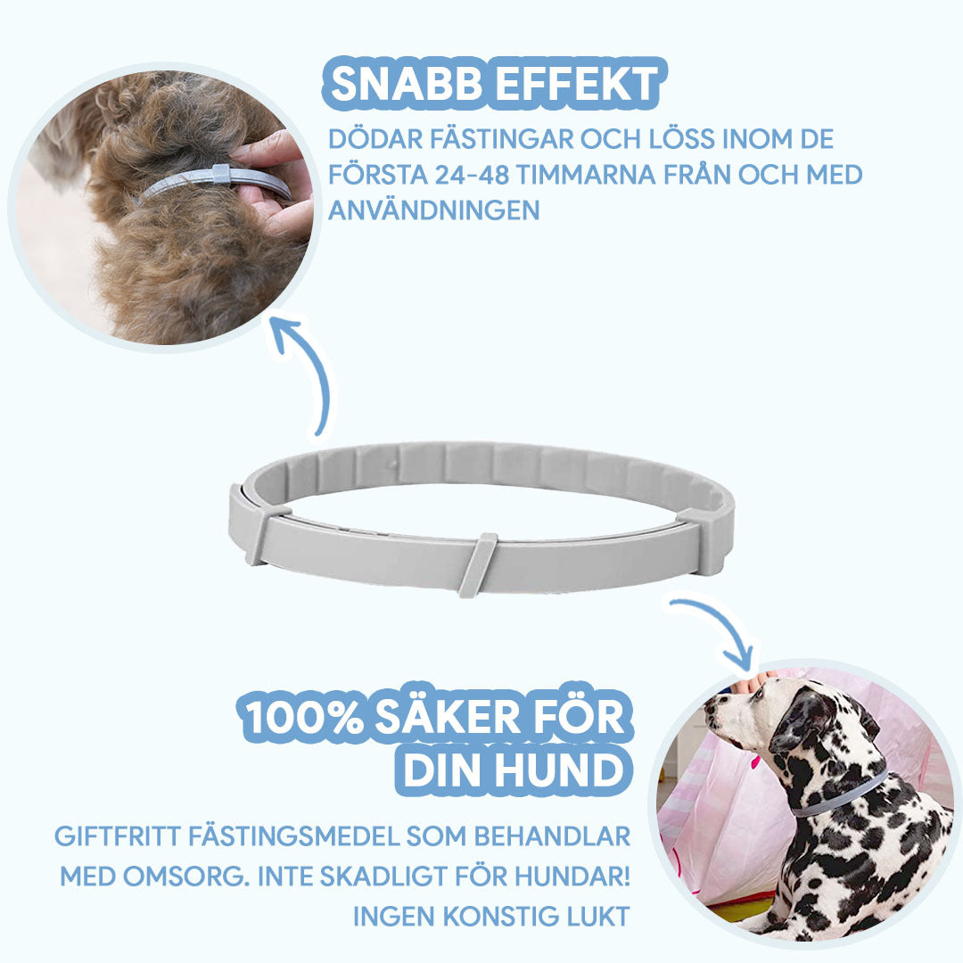 Halsband Mot Löss och Fästingar