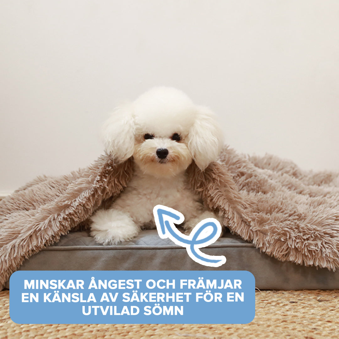 Fluffig Filt för Hundar